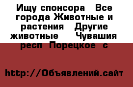 Ищу спонсора - Все города Животные и растения » Другие животные   . Чувашия респ.,Порецкое. с.